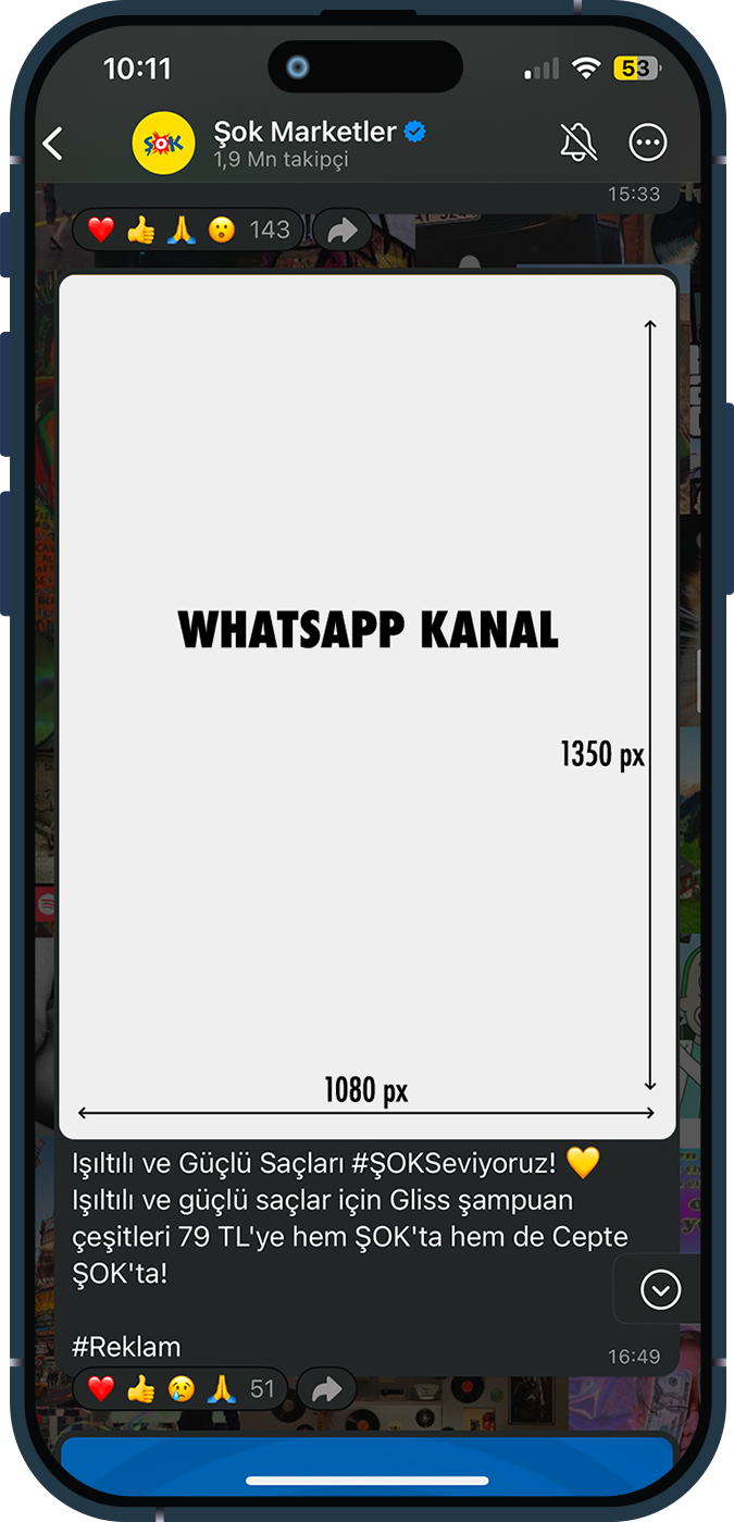 KAMPANYA ALANI11